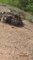 IMG_7072.jpg, 27kB
